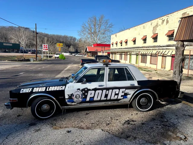 Black and white police graphics on a classic patrol car, seen from the side.